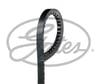 GATES 6271MC - V Kayisi - Fiat Fiat-ford