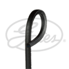 GATES AV13x625HD - V Kayisi - Japon Colt