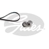 GATES K017PK1125 - V Kayis Seti - Renault Megane Ii/scenic Ii
