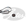 GATES K026PK1249SF - V Kayis Seti - Ford Focus/c-max