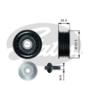 GATES T36736 - V Kayis Gergi Rulmani - Fiat Doblo/linea/bravo/fiat 500/giulietta/combo D