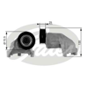 GATES T38272 - V Kayis Gergisi Komple - Ford Focus/fiesta