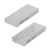 HENGST E6901LI-2 - Polen Filtresi - Av Cf, Xf