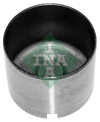 INA 10 - Supap Tusu - Opel Astra G-h Corsa C