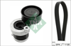 INA 10 - V Kayis Seti - Renault Clio Iv/megan Iv/duster/logan/dokker/117-176-246-415 Jitan