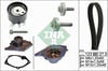 INA 30 - Triger Seti+devirdaim - Renault Clio/kango/megan/logan/micra/note/qashqai