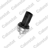 VERNET WS3019 - Su Sicaklik Müsürü - Renault Clio Iv/fluence/megane Iv/w176/w177/c118 19