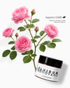 FLUIDUM RENOVANS ENZİM DESTEKLİ YENİLEYİCİ JEL MASKE