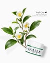 LABIUM RENOVANS ŞEKER BAZLI MATCHA LIP SCRUB