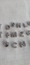 Zirkon taşlı çelik charm