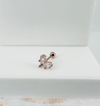 Tragus Kıkırdak Küpesi
