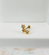 Tragus Kıkırdak Küpesi