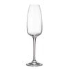 collection-anser-sampanya-bardagi-290--048-bc.jpg