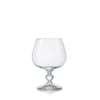 COLLECTİON BRANDY 250 ML COGNAC DÜZ