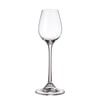 collection-columba-ligueur-glass-90-ml-0dfe53.jpg