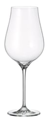 COLLECTİON LIMOSA RED WİNE GLASS 650 ML