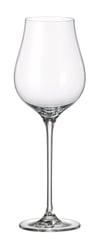 COLLECTİON LIMOSA WHİTE WİNE GLASS 250 ML