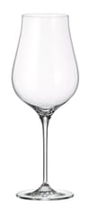 COLLECTİON LIMOSA WHİTE WİNE GLASS 500 ML