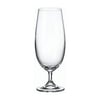 collection-sylvia-beer-glass-380-ml--e96f5.jpg