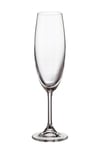 COLLECTİON SYLVIA CHAMPANGNE FLUTE 220 ML