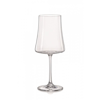 xtra-wine-460-ml--27dd-.jpg