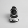 2000 Urban Black White