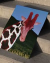 Crimson Giraffe Modern Duvar Tablosu - Mavi Kırmızı Fotoğrafik Poster