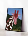 Crimson Giraffe Modern Duvar Tablosu - Mavi Kırmızı Fotoğrafik Poster