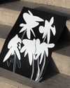 Echo Bloom Modern Duvar Tablosu – Siyah Beyaz Minimal Çiçek Poster