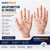 Mey İthalat® Akupunktur EL Maketi