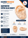 Mey İthalat® NORDMENDE Akupunktur Eğitim Kulak Maketi Auriküloterapi Nokta Gösterim Anatomik Eğitim Modeli