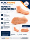 Mey İthalat® NORDMENDE Akupunktur Eğitim Ayak Maketi Anatomik Refleksoloji Nokta Gösterim Modeli Eğitim Maketi
