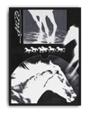 Noir Horse Modern Duvar Tablosu – Siyah Beyaz At Kolaj Poster