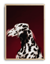 Red Dalmatian Modern Duvar Tablosu – Kırmızı Dalmaçyalı Köpek Poster
