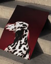 Red Dalmatian Modern Duvar Tablosu – Kırmızı Dalmaçyalı Köpek Poster
