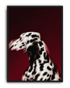 Red Dalmatian Modern Duvar Tablosu – Kırmızı Dalmaçyalı Köpek Poster