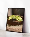 Still Pond Yeşil Kahverengi Fotoğrafik Balık Duvar Tablosu