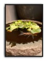 Still Pond Yeşil Kahverengi Fotoğrafik Balık Duvar Tablosu
