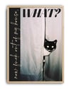 What Cat Modern Kedi Duvar Tablosu - Siyah Beyaz Fotoğrafik Poster