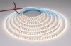 1 Adet 5 METRE CATA CT 4486 İç Mekan 12V 10 Çipli Şerit Led 4000K