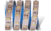 1 Adet 5 METRE CATA CT 4535 İç Mekan 12V 12 Çipli  Şerit Led 6400K Beyaz Işık