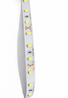 1 Adet 5 METRE CATA CT 4535 İç Mekan 12V 12 Çipli  Şerit Led 6400K Beyaz Işık