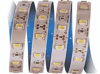 1 Adet 5 METRE CATA CT 4537 İç Mekan 12V 12 Çip Şerit Led  3200K Günışığı