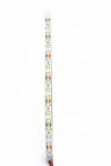 1 Adet 5 Metre CATA CT 4540 İç Mekan 12V 120 Ledli Şerit Led 6400K Beyaz Işık