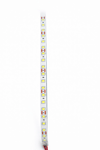 1 Adet 5 Metre NOAS YL35 1201 İç Mekan 12V 120 Ledli Şerit Led 6400K Beyaz Işık