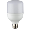 1 Adet NOAS YL95 2002 Led Torch Ampul 20W 3200K Günışığı E27 Duy