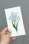 100 Adet Şeffaf Renkli Lotus Toka 8 cm Kına Seti