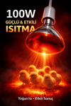 100W Isıtıcı Ampul Kırmızı Isı Lambası Civciv Kümes Kuluçka E27 Duy Isıtma Ampulü