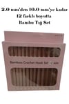12'li Profesyonel Bambu Tığ Seti - 2.0 Mm'den 10.0 Mm'ye Kadar Tam Set
