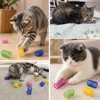 4'lü Renkli Spiral Yay Kedi Oyuncağı, Esnek Ve Hareketli Eğlenceli Kedi Oyun Seti Bx40